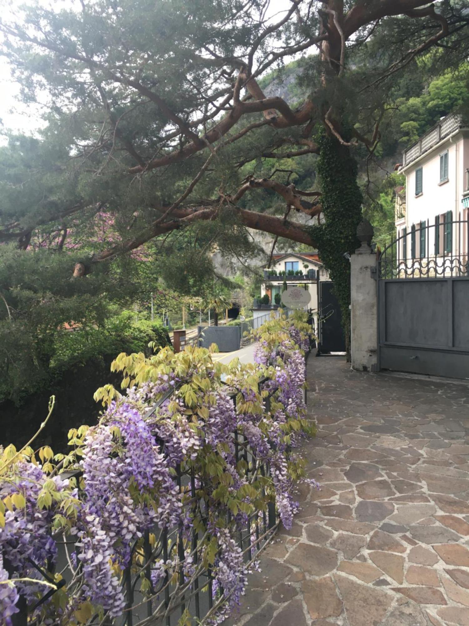 Villa Varenna Eksteriør billede